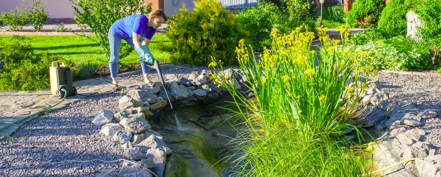 Результат після як очистити ставок і відновлення води